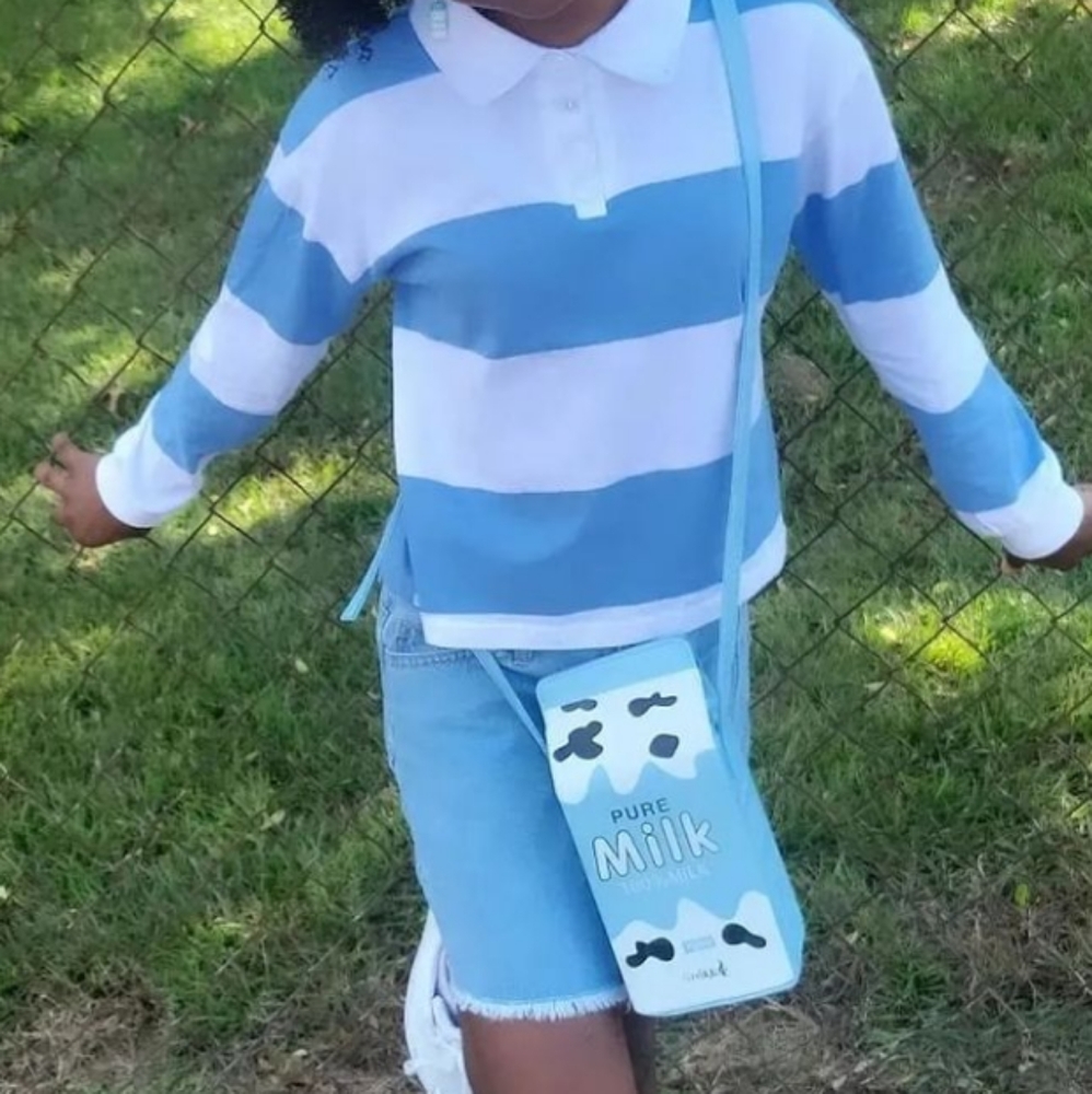 Milk carton purse